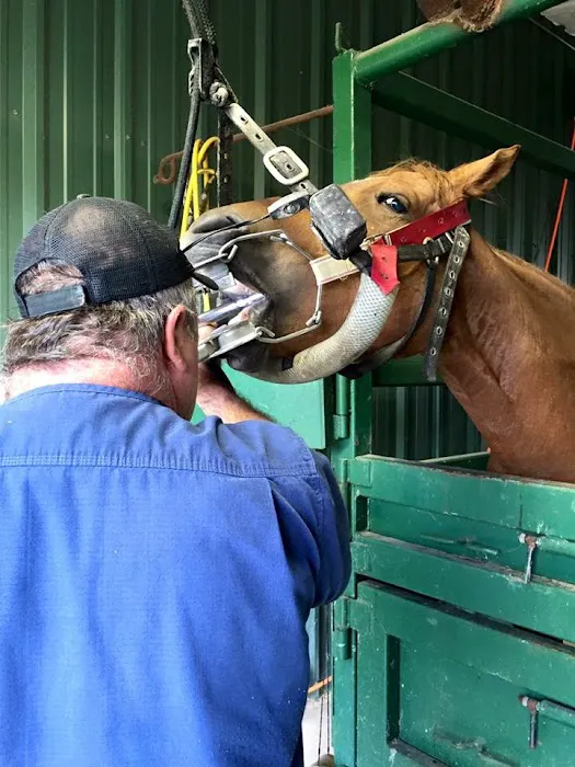 Bynum Veterinary Clinic Picture 3