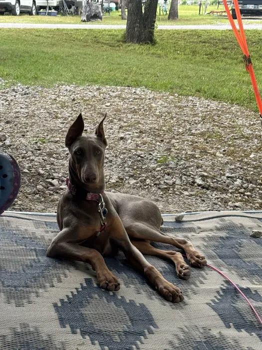 Bynum Veterinary Clinic Picture 4