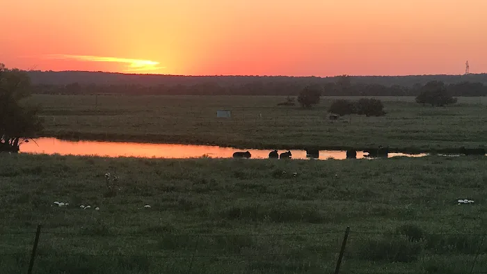 Bynum Veterinary Clinic Picture 9