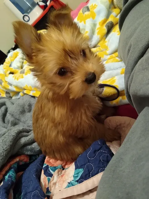 Bynum Veterinary Clinic Picture 8