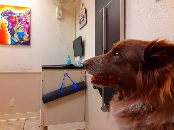 Advanced Care Veterinary Hospital Picture 4