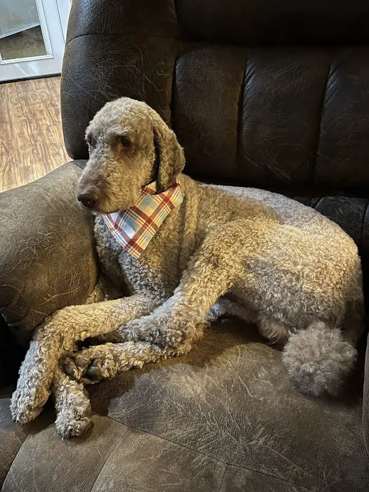 Advanced Care Veterinary Hospital Picture 3