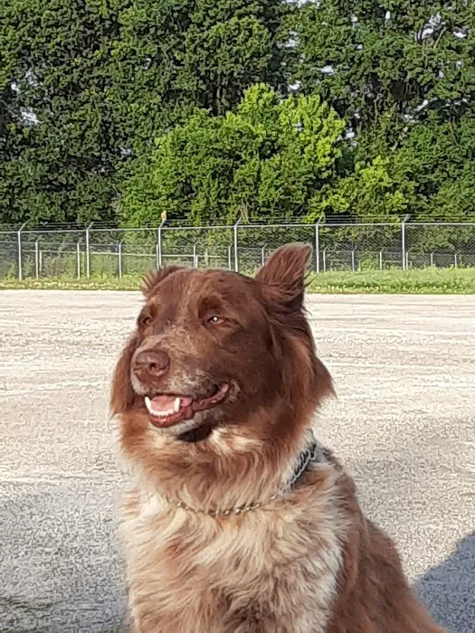 Advanced Care Veterinary Hospital Picture 6