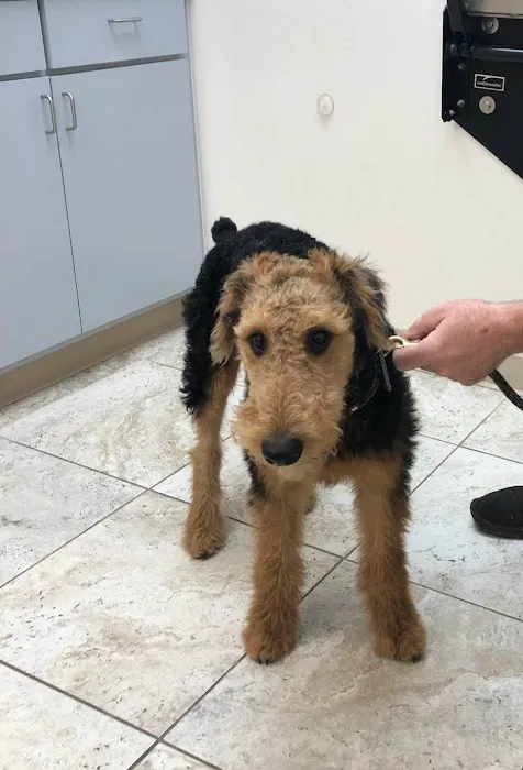 Advanced Care Veterinary Hospital Picture 9