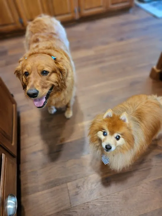 Greenwood Vet Clinic Picture 2