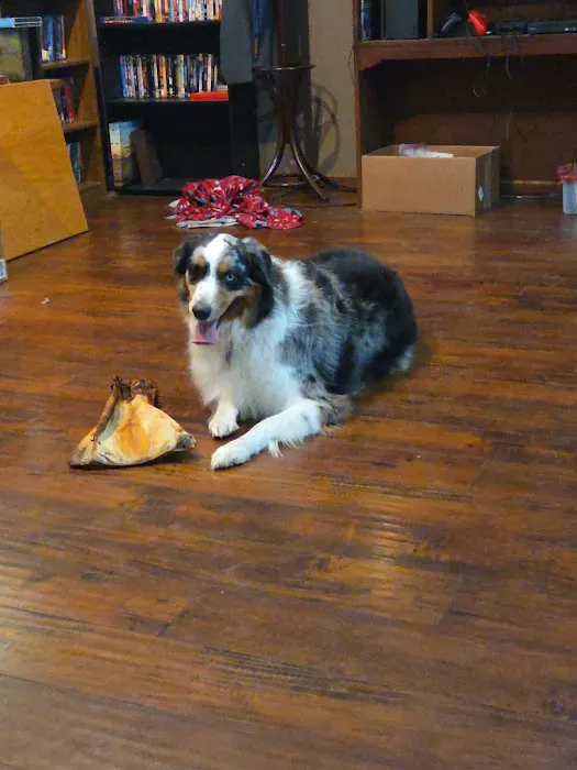 Greenwood Vet Clinic Picture 3