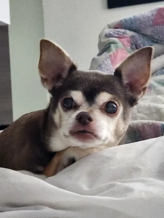 Greenwood Vet Clinic Picture 1