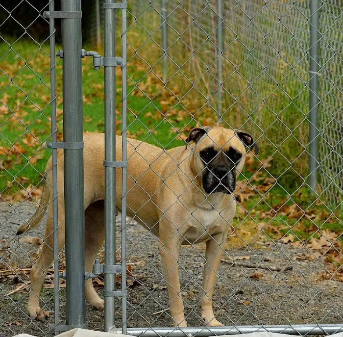 Greenwood Vet Clinic Picture 9