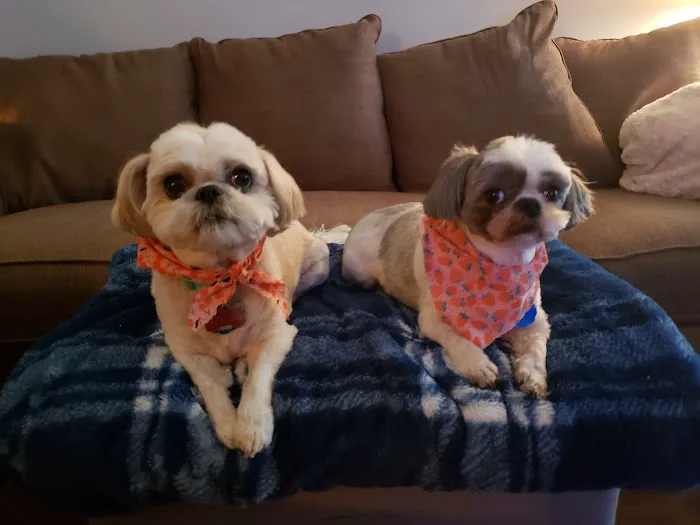 Greenwood Vet Clinic Picture 7