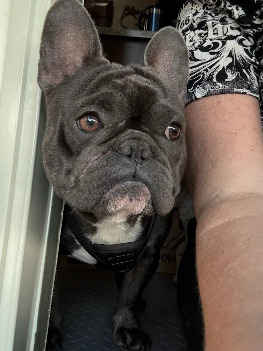 Greenwood Vet Clinic Picture 6