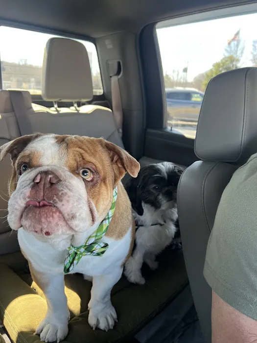 Greenwood Vet Clinic Picture 5