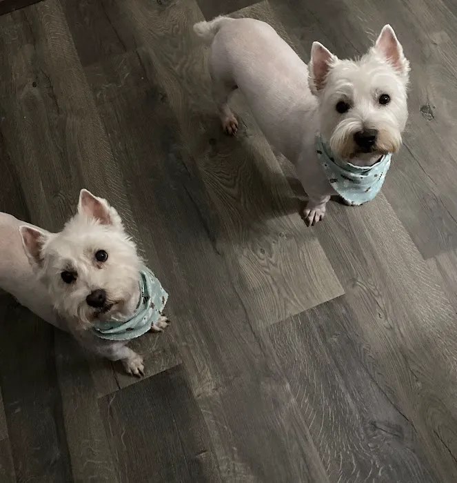 Greenwood Vet Clinic Picture 8