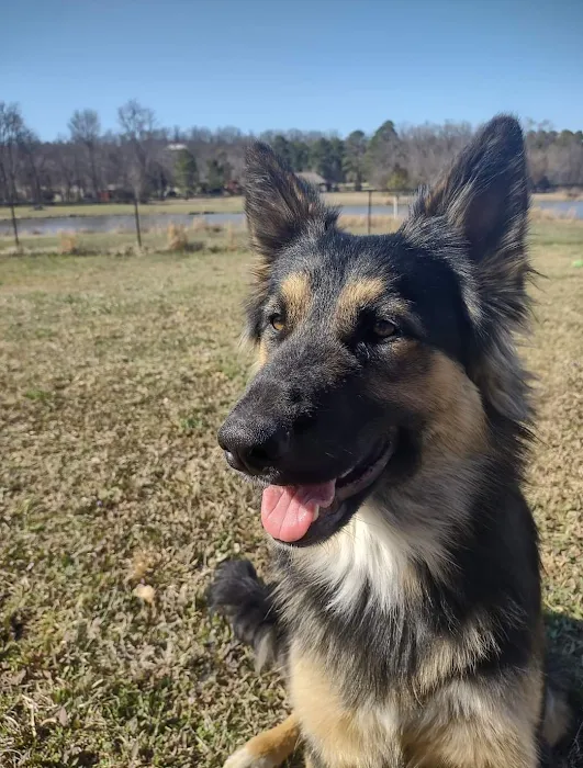 Greenwood Vet Clinic Picture 10