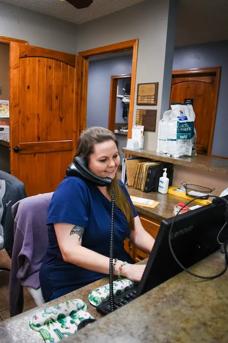 South County Animal Hospital, A Thrive Pet Healthcare Partner Picture 8