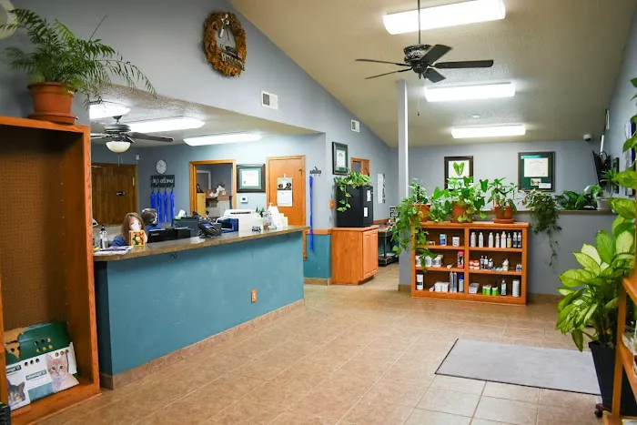 South County Animal Hospital, A Thrive Pet Healthcare Partner Picture 9