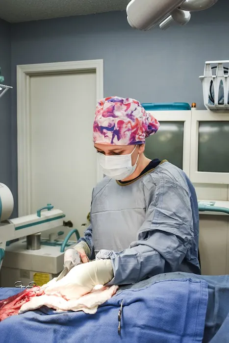 South County Animal Hospital, A Thrive Pet Healthcare Partner Picture 7