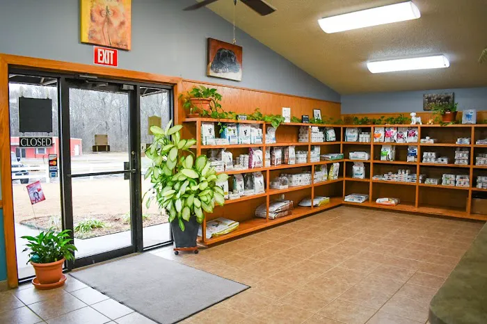 South County Animal Hospital, A Thrive Pet Healthcare Partner Picture 10