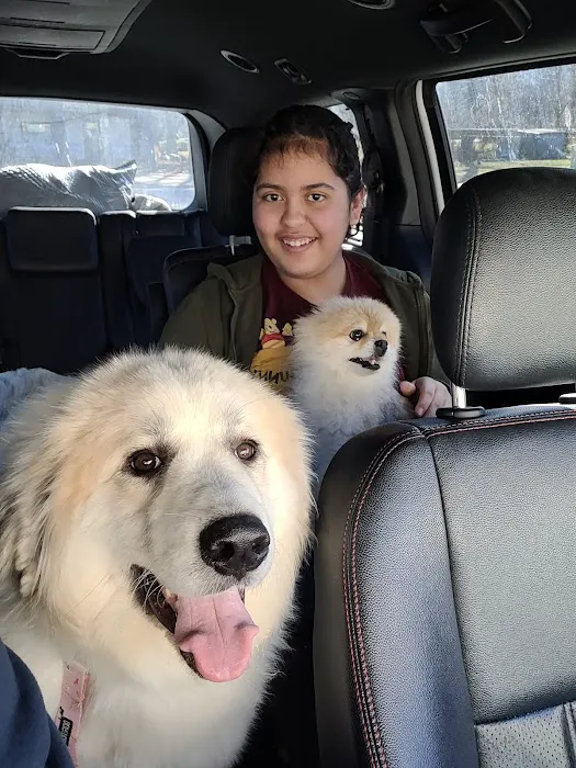 Dripping Springs Pet Hospital Picture 3