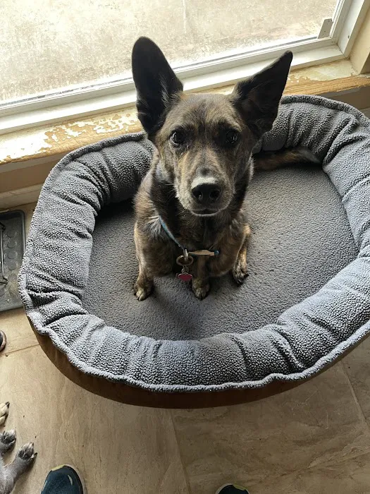 Dripping Springs Pet Hospital Picture 4