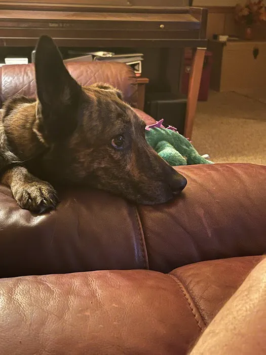 Dripping Springs Pet Hospital Picture 5