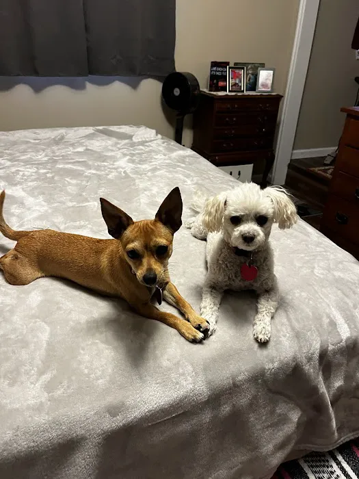 Dripping Springs Pet Hospital Picture 6