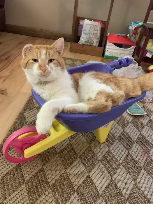 Dripping Springs Pet Hospital Picture 7