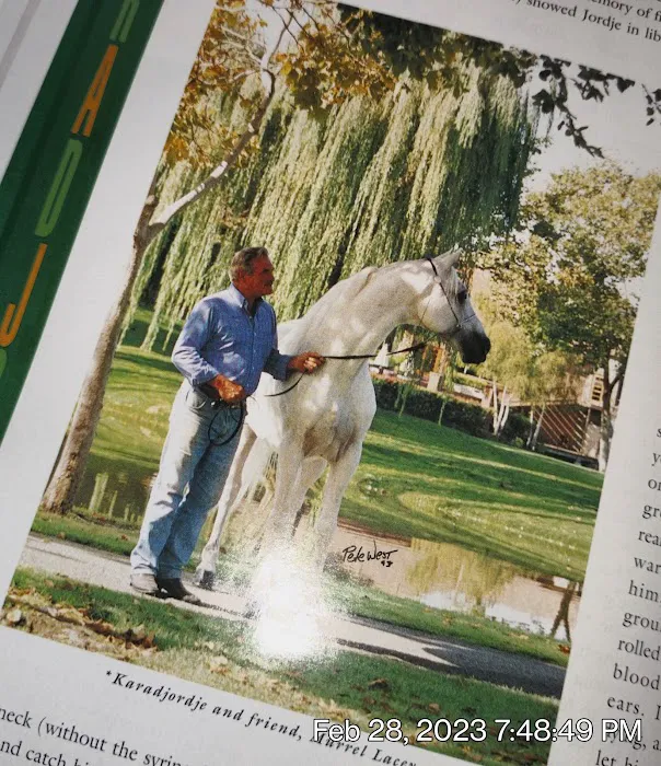 Collett Equine Veterinary Service Picture 3