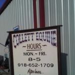 Collett Equine Veterinary Service