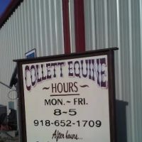 Collett Equine Veterinary Service ico