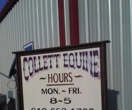 Collett Equine Veterinary Service
