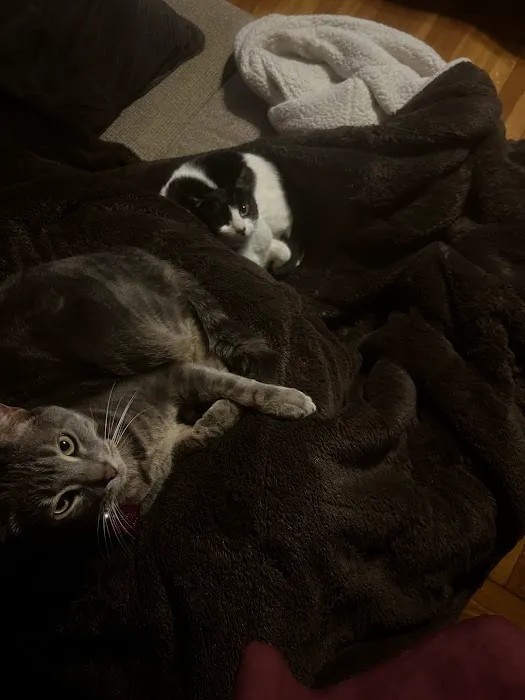 Animal Care Central Picture 5