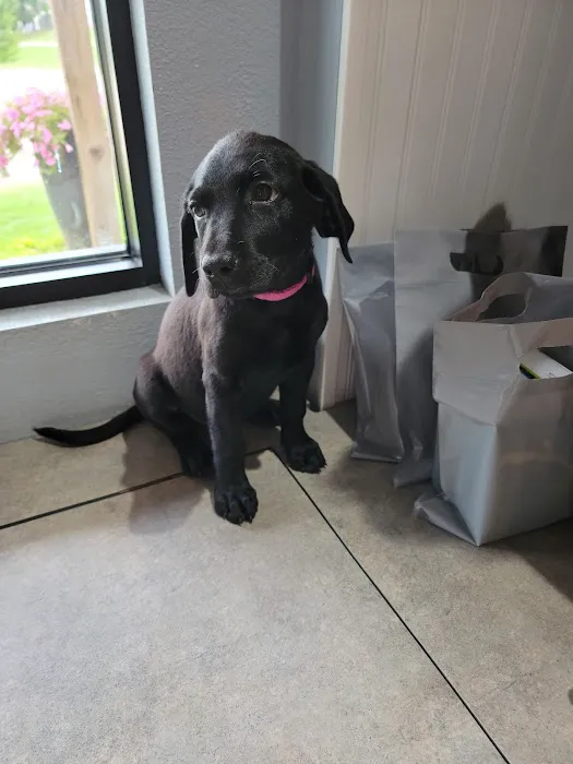 Animal Care Central Picture 3