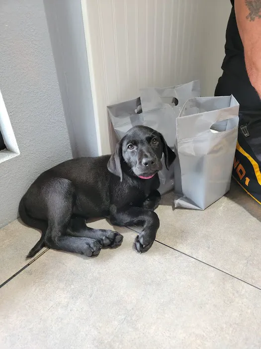 Animal Care Central Picture 2