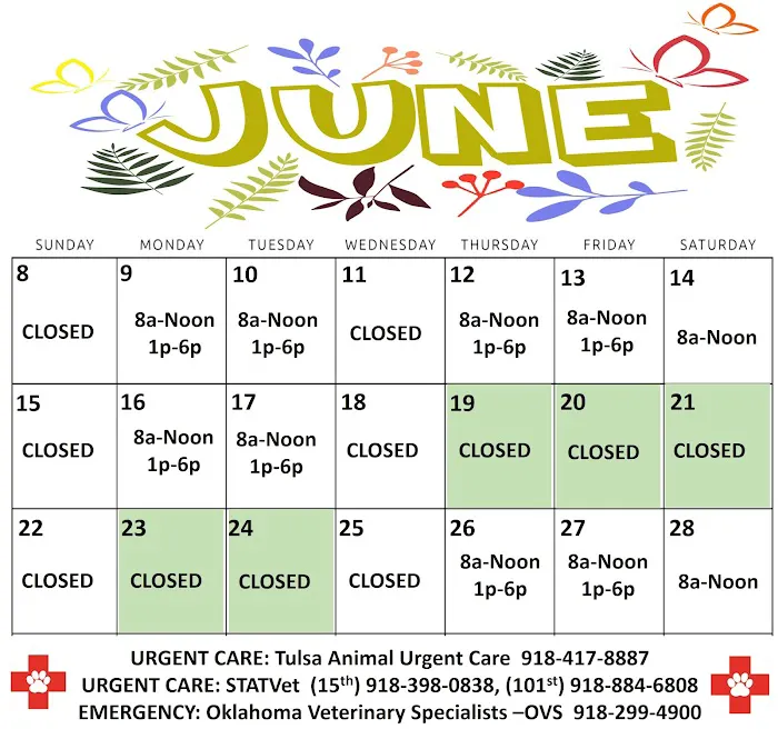 Animal Care Central Picture 7