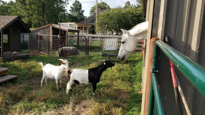 Denham Animal Clinic Picture 4