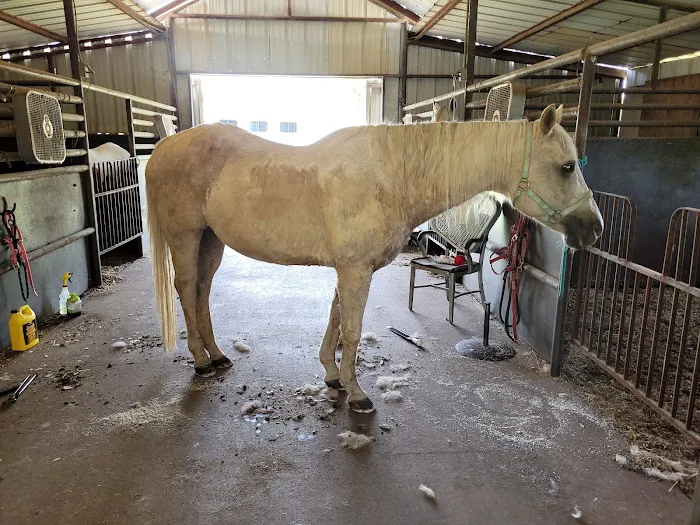 Denham Animal Clinic Picture 7