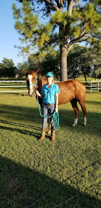 Denham Animal Clinic Picture 9