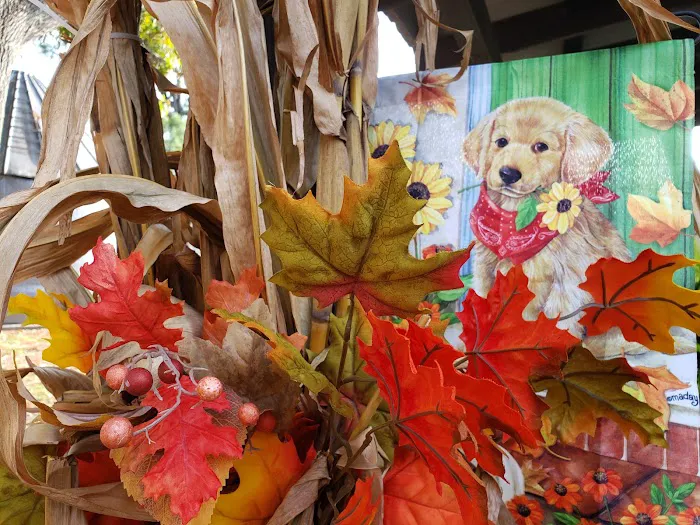 Denham Animal Clinic Picture 10