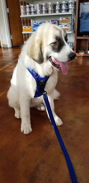 Sand Springs Small Animal Hospital Picture 7