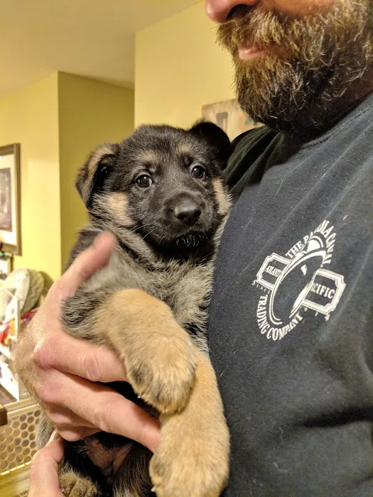 Sand Springs Small Animal Hospital Picture 10