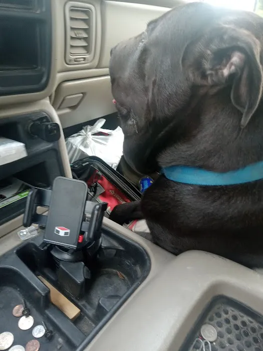 Okfuskee County Veterinary Picture 1