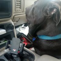 Okfuskee County Veterinary ico