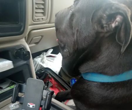 Okfuskee County Veterinary