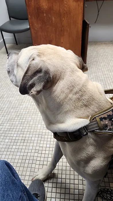 Bristow Veterinary Care Center Picture 1