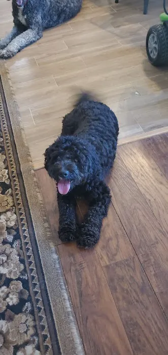 Bristow Veterinary Care Center Picture 6