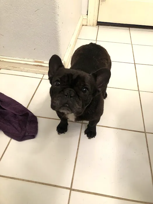 Bristow Veterinary Care Center Picture 3