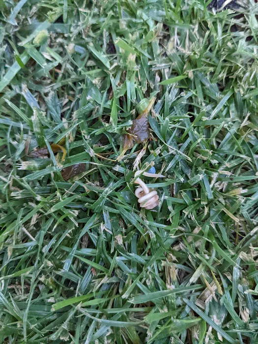 Bristow Veterinary Care Center Picture 10