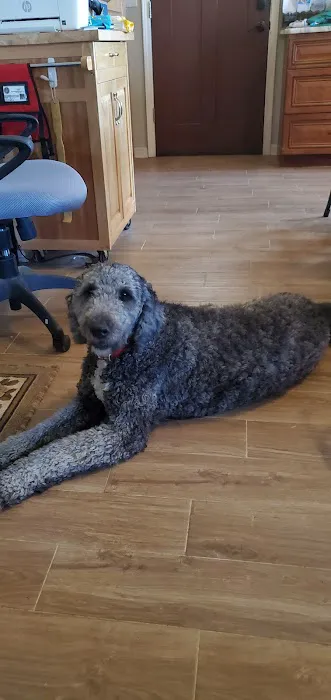 Bristow Veterinary Care Center Picture 8