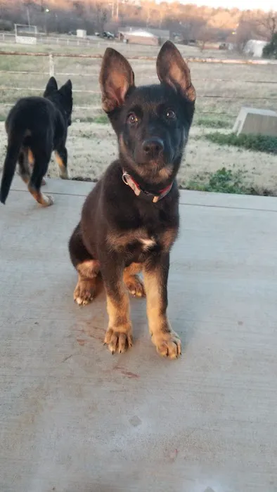 Stroud Veterinary Hospital Picture 3