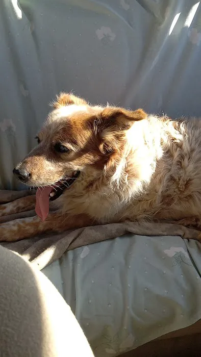 Stroud Veterinary Hospital Picture 2